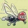 Avatar du membre