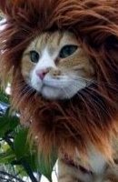 Avatar du membre